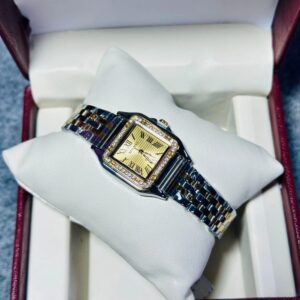 Soloni 1036 For Women - Silver Gold With Premium Box | Rovelle
